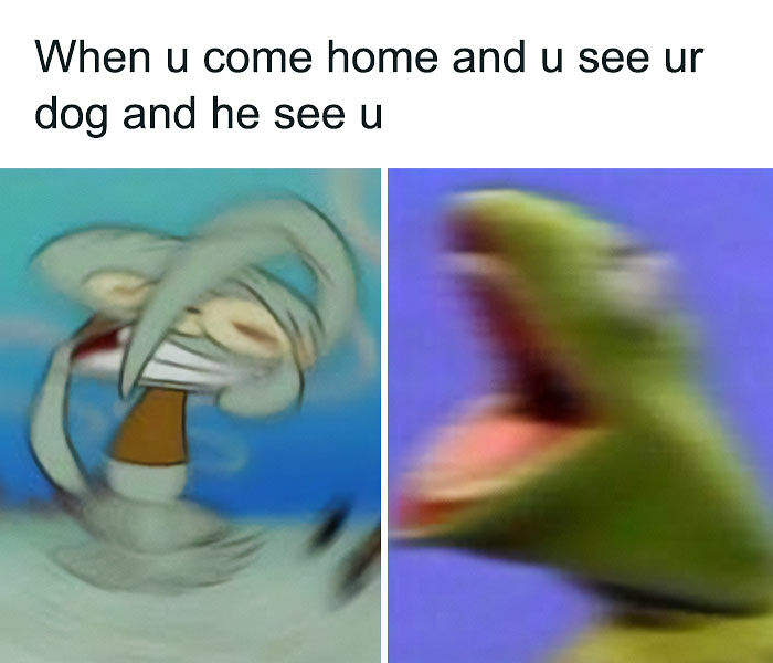 53 Wholesome Posts And Memes To Show You A Different Side Of The Internet