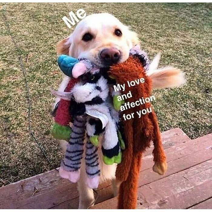 53 Wholesome Posts And Memes To Show You A Different Side Of The Internet