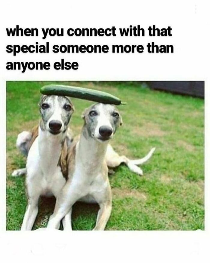 53 Wholesome Posts And Memes To Show You A Different Side Of The Internet