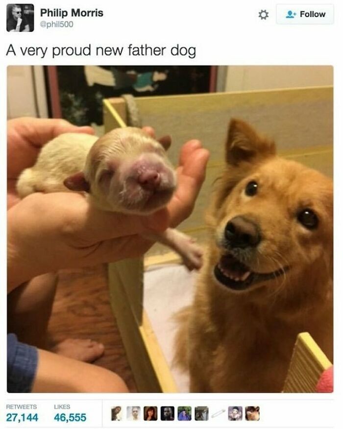 53 Wholesome Posts And Memes To Show You A Different Side Of The Internet