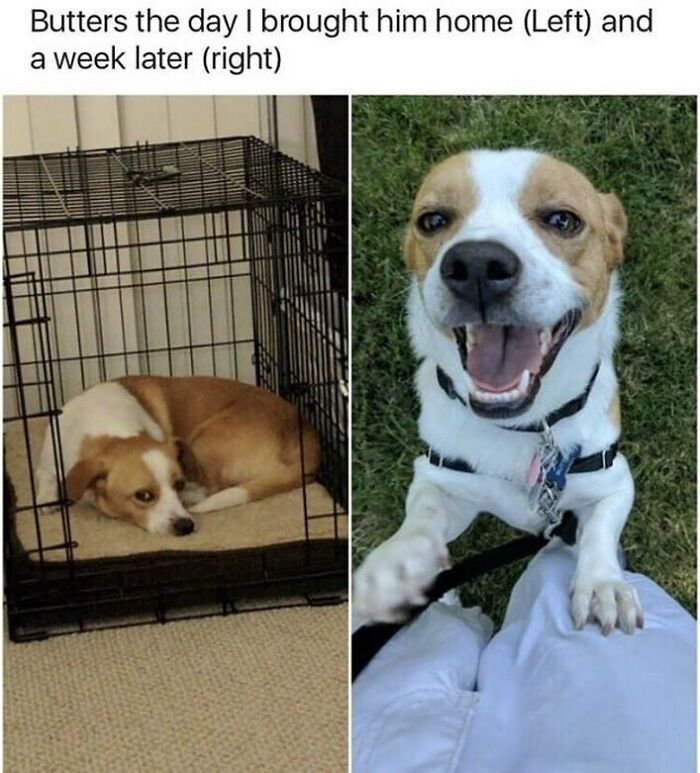 53 Wholesome Posts And Memes To Show You A Different Side Of The Internet