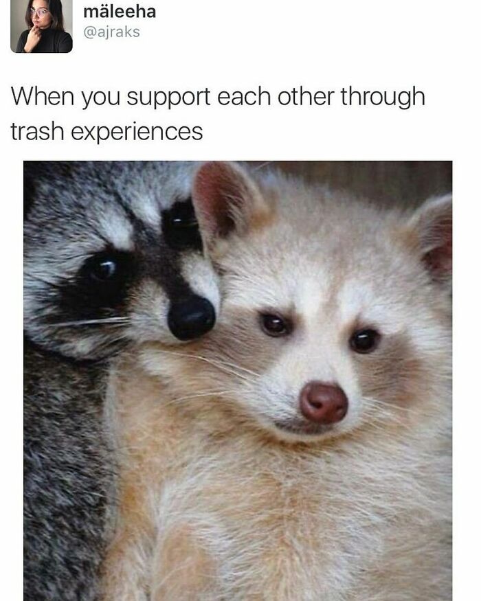 53 Wholesome Posts And Memes To Show You A Different Side Of The Internet