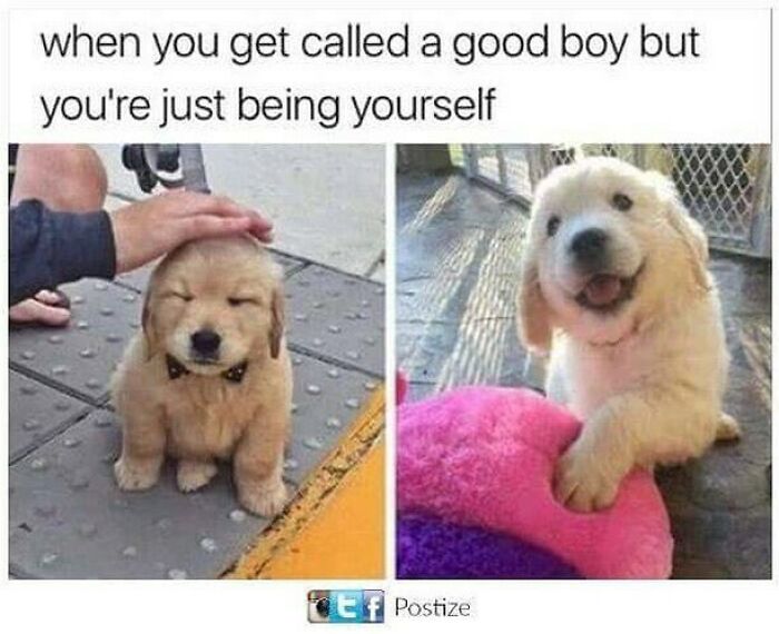 53 Wholesome Posts And Memes To Show You A Different Side Of The Internet