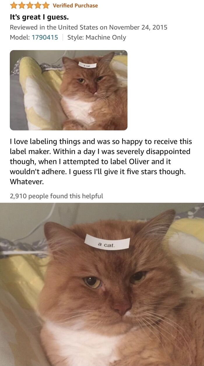 &ldquo;Like My Ex-Wife It&rsquo;s A Huge Disappointment&rdquo;: 67 Hilariously Honest Reviews (New Pics)