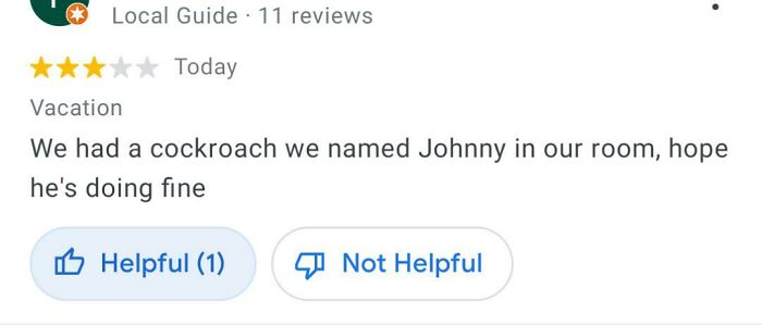 &ldquo;Like My Ex-Wife It&rsquo;s A Huge Disappointment&rdquo;: 67 Hilariously Honest Reviews (New Pics)