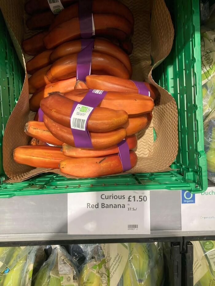 580K People Follow This FB Group For These British Memes The Whole World Can Laugh At (39 Pics)