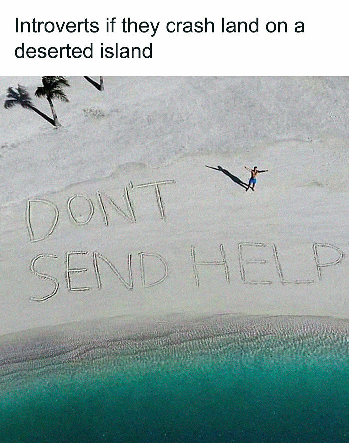 79 Funny And Relatable Memes To Distract You From Everything You Should Be Doing