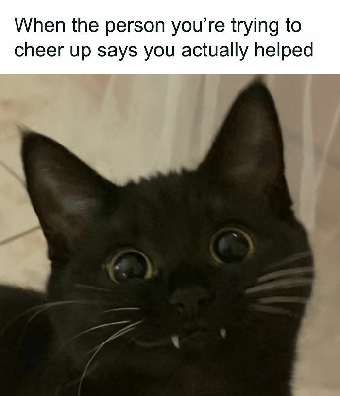 79 Funny And Relatable Memes To Distract You From Everything You Should Be Doing