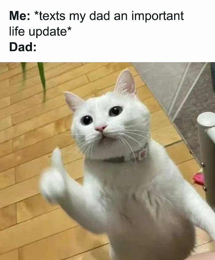 79 Funny And Relatable Memes To Distract You From Everything You Should Be Doing