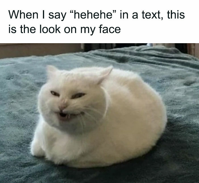 79 Funny And Relatable Memes To Distract You From Everything You Should Be Doing