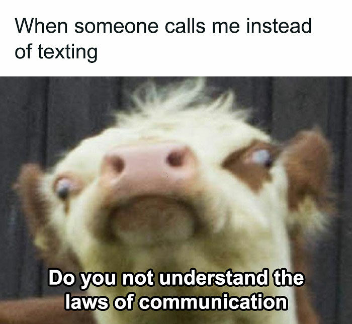 79 Funny And Relatable Memes To Distract You From Everything You Should Be Doing