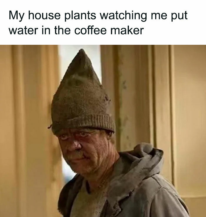 79 Funny And Relatable Memes To Distract You From Everything You Should Be Doing