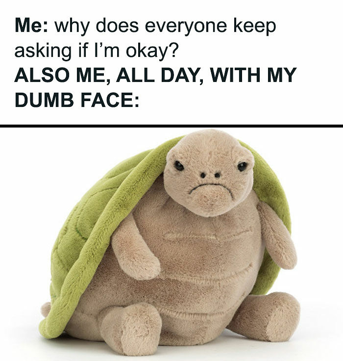 79 Funny And Relatable Memes To Distract You From Everything You Should Be Doing