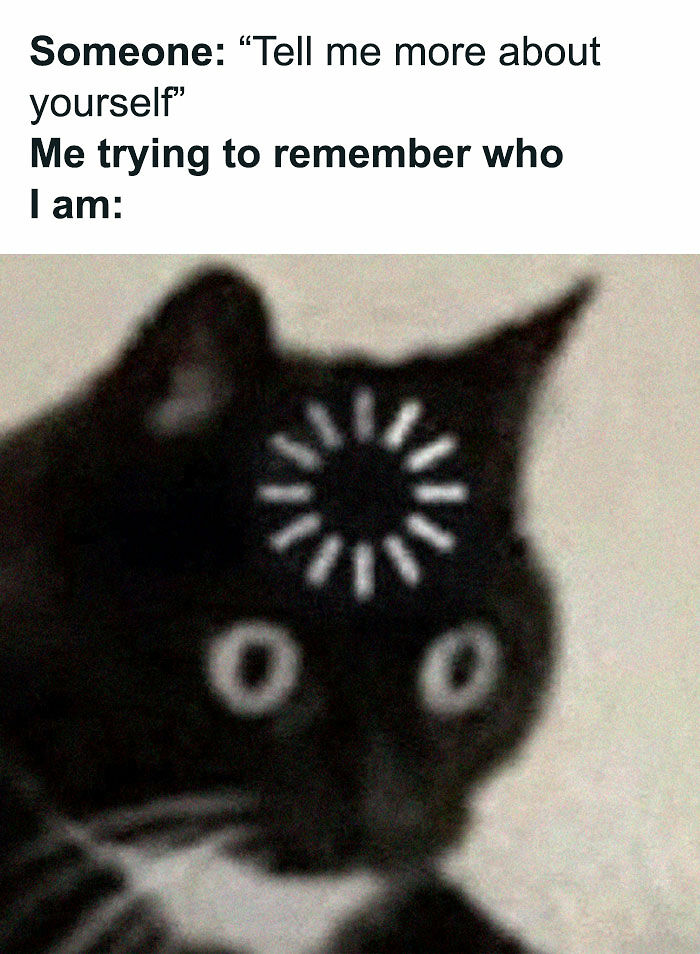 79 Funny And Relatable Memes To Distract You From Everything You Should Be Doing