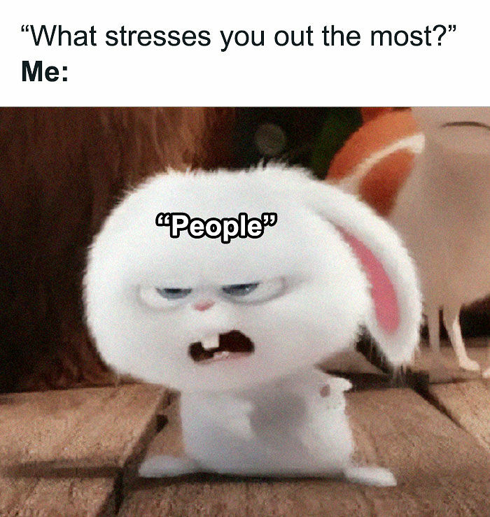 79 Funny And Relatable Memes To Distract You From Everything You Should Be Doing