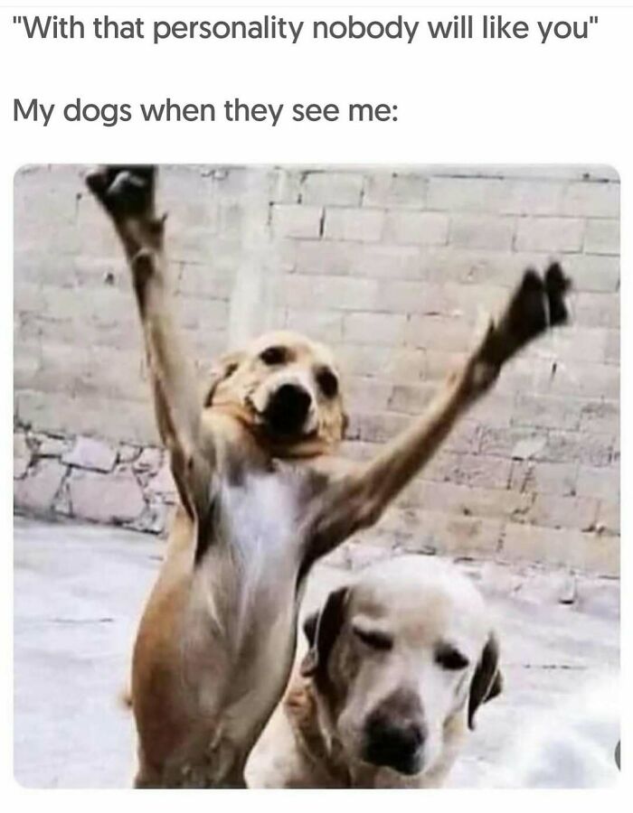 79 Funny And Relatable Memes To Distract You From Everything You Should Be Doing