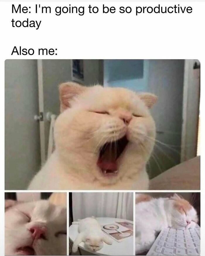 79 Funny And Relatable Memes To Distract You From Everything You Should Be Doing