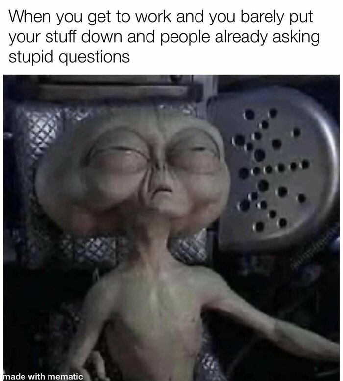 79 Funny And Relatable Memes To Distract You From Everything You Should Be Doing