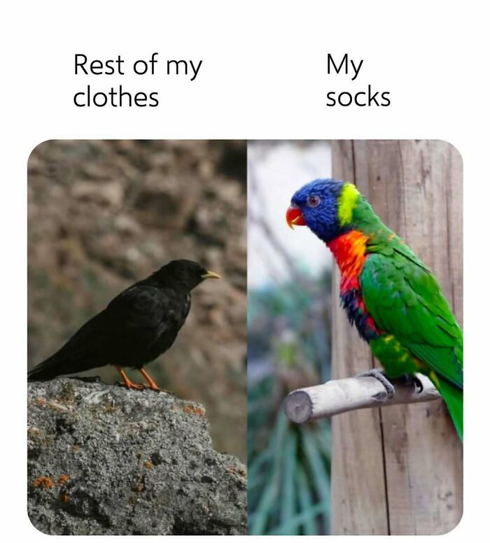 79 Funny And Relatable Memes To Distract You From Everything You Should Be Doing