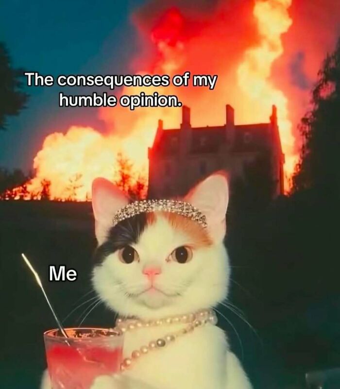 79 Funny And Relatable Memes To Distract You From Everything You Should Be Doing