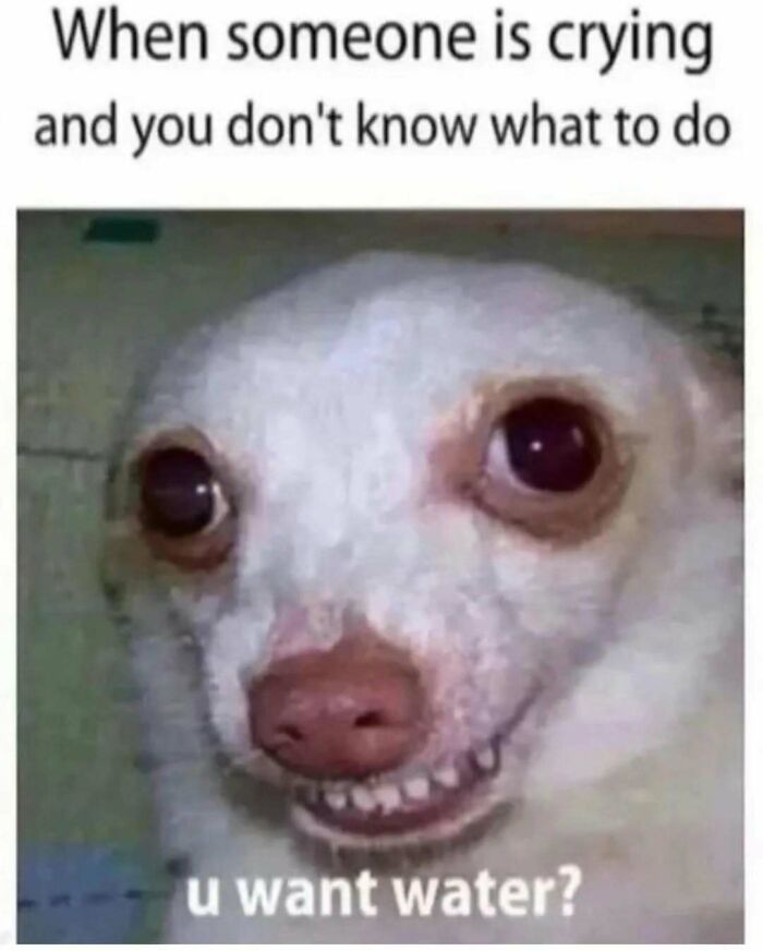 79 Funny And Relatable Memes To Distract You From Everything You Should Be Doing