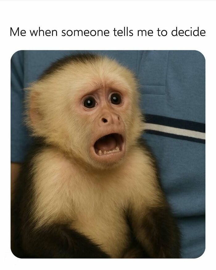 79 Funny And Relatable Memes To Distract You From Everything You Should Be Doing