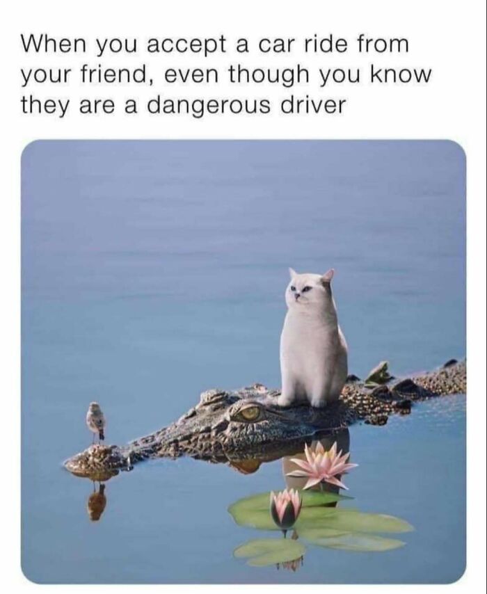 79 Funny And Relatable Memes To Distract You From Everything You Should Be Doing