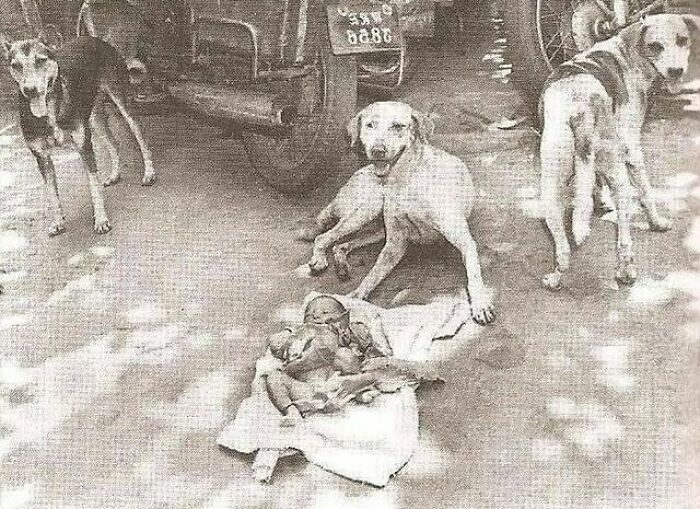 115 Fascinating Photos That Might Teach You About History In A Way School Can&rsquo;t (New Pics)