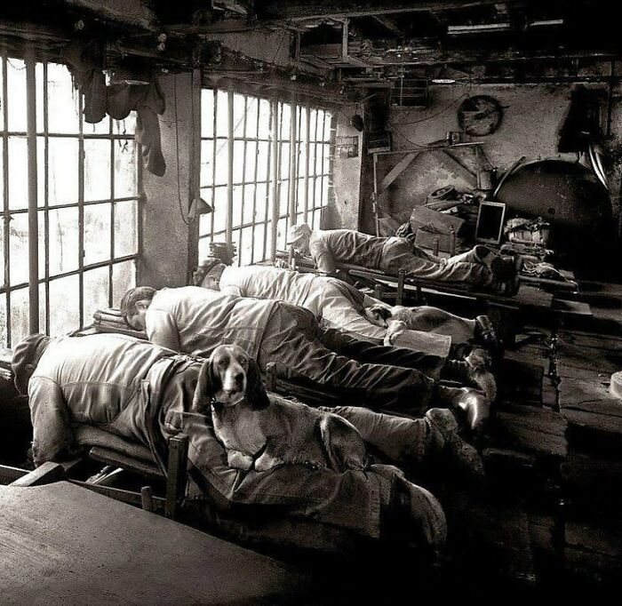 115 Fascinating Photos That Might Teach You About History In A Way School Can&rsquo;t (New Pics)