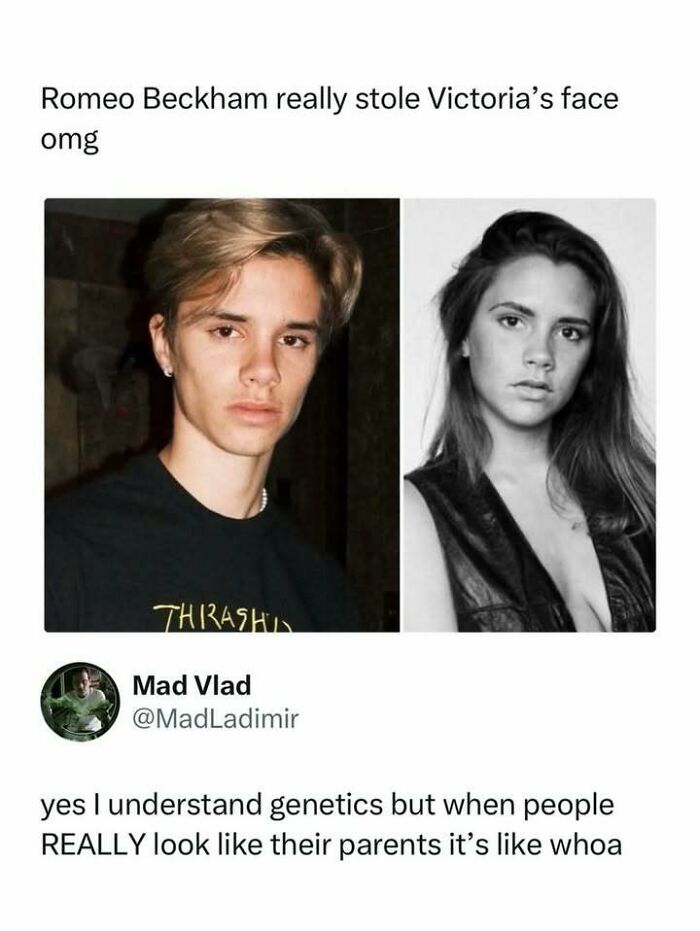 83 Entertaining Posts And Memes About Pop-Culture To Help You Fight Boredom