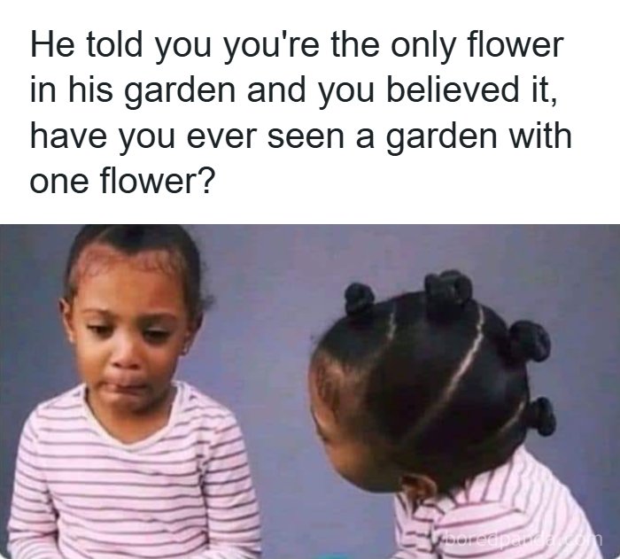 “USA Memes”: 32 Funny And Relatable Memes To Make Your Day Better