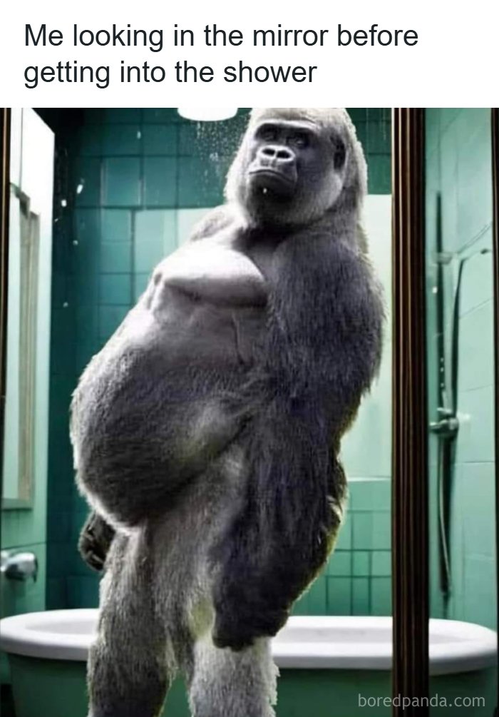 “USA Memes”: 32 Funny And Relatable Memes To Make Your Day Better