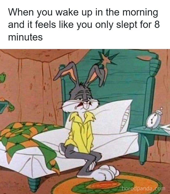 “USA Memes”: 32 Funny And Relatable Memes To Make Your Day Better