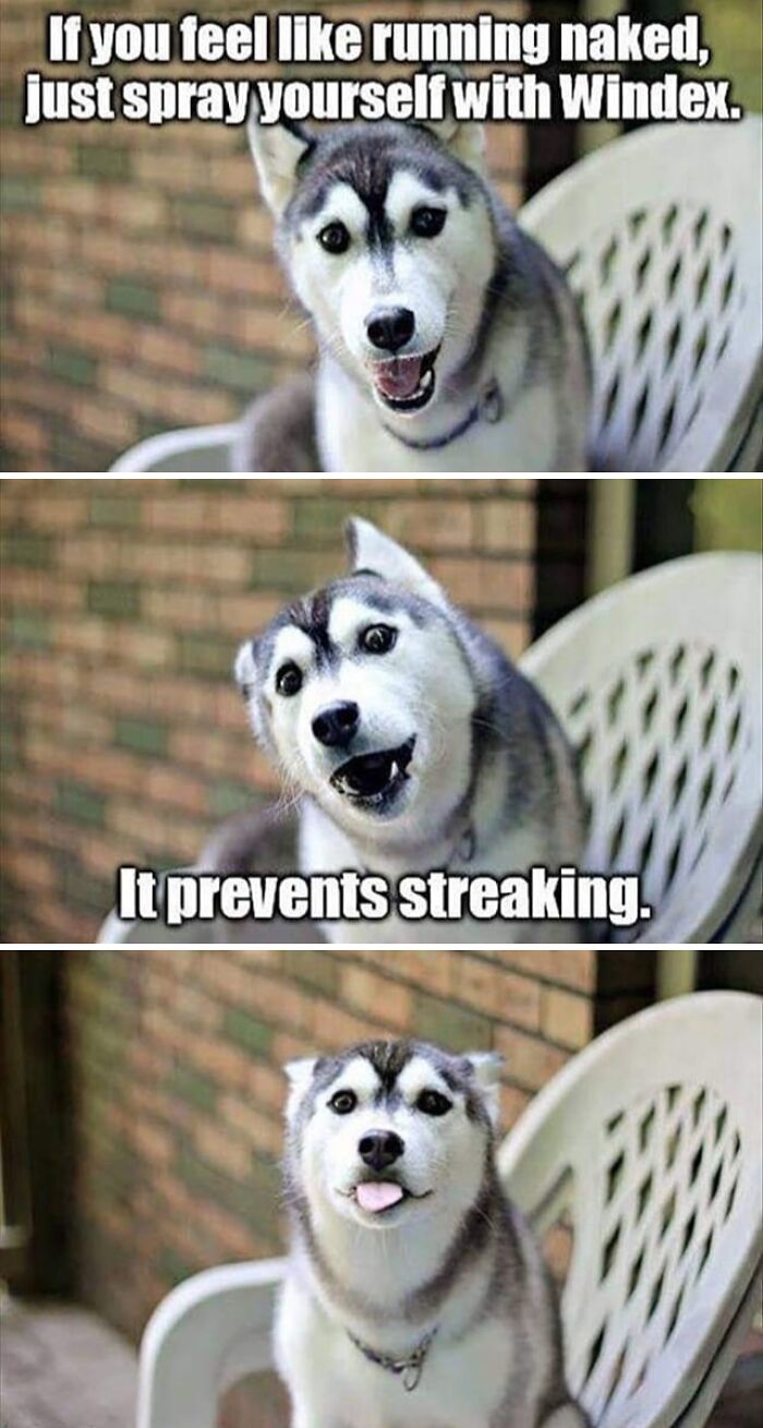 “USA Memes”: 32 Funny And Relatable Memes To Make Your Day Better