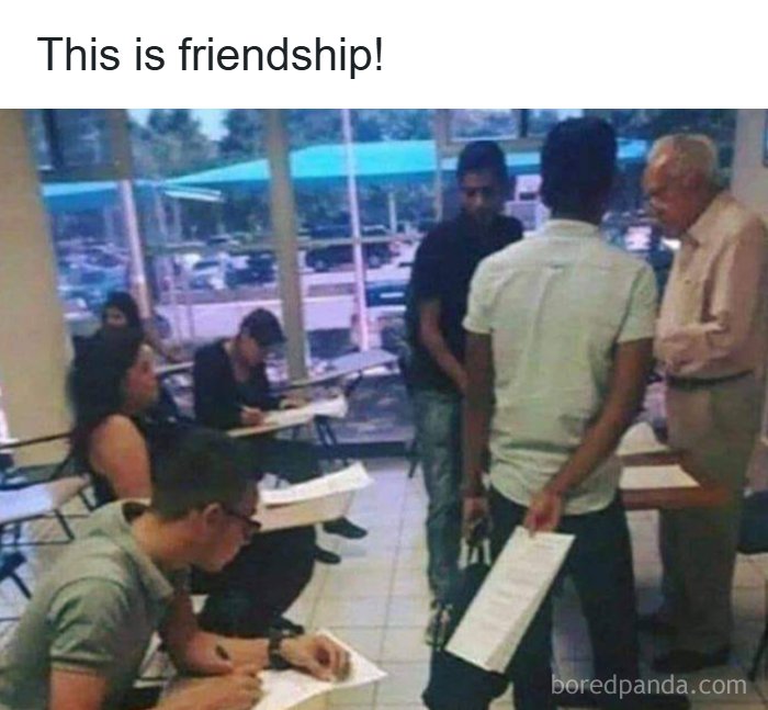 “USA Memes”: 32 Funny And Relatable Memes To Make Your Day Better