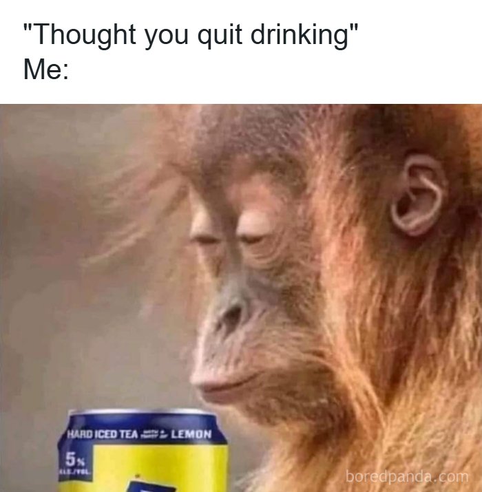 “USA Memes”: 32 Funny And Relatable Memes To Make Your Day Better