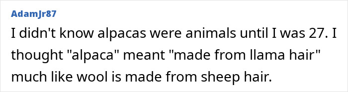 &ldquo;I Kissed The Vet&rsquo;s Hand&rdquo;: 53 Devastatingly Embarrassing Moments That Hurt To Read