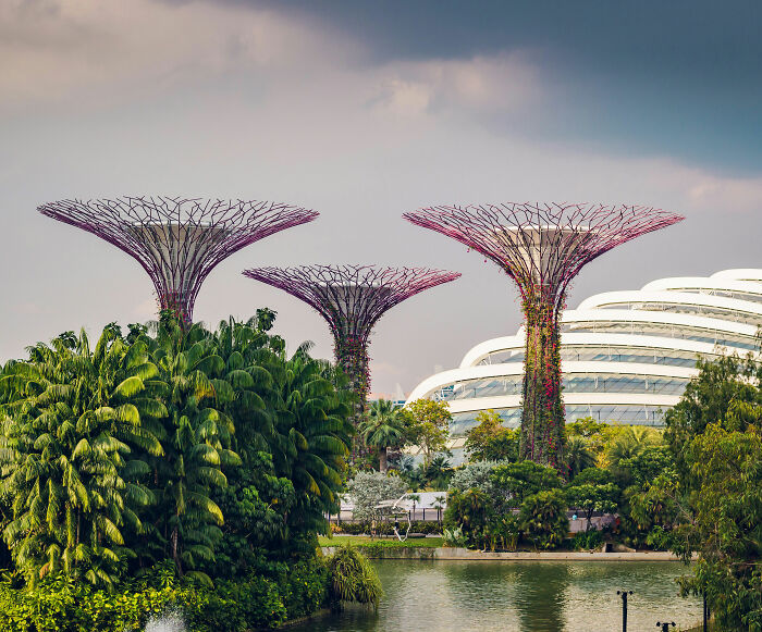 French Teenager Faces Jail In Singapore After Posting Video Of His “Disgusting” Vending Machine Prank