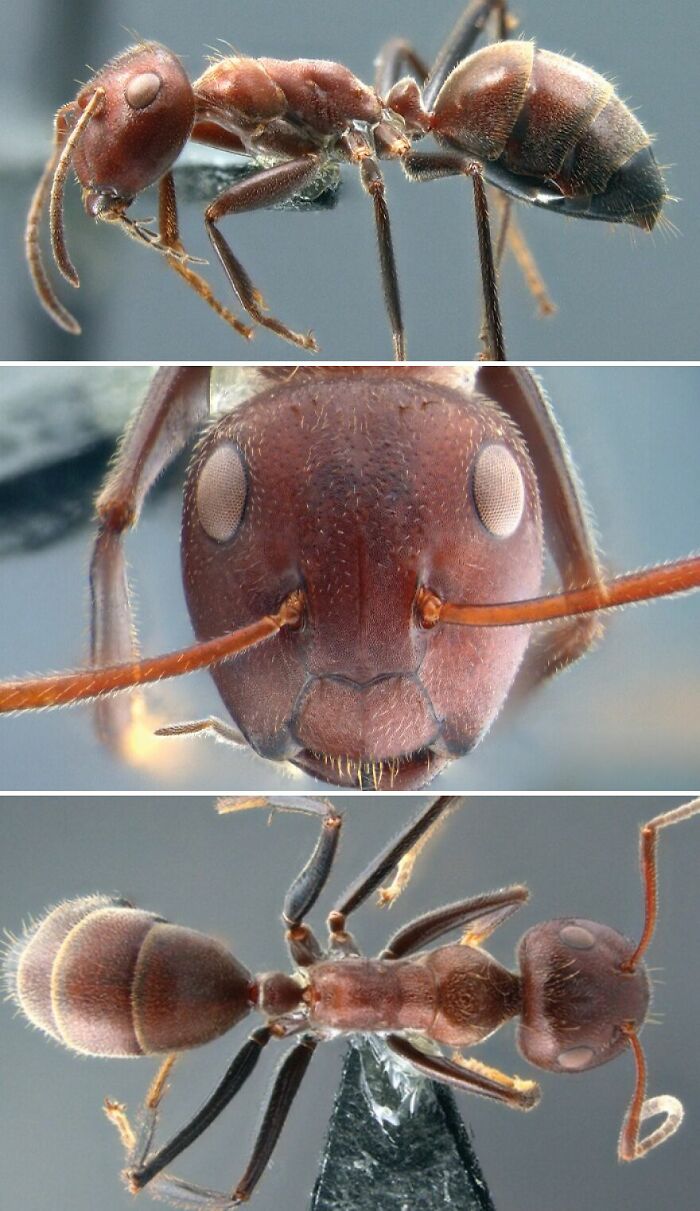 Scared Animals: 15 Creatures With The Most Extreme Fear Responses