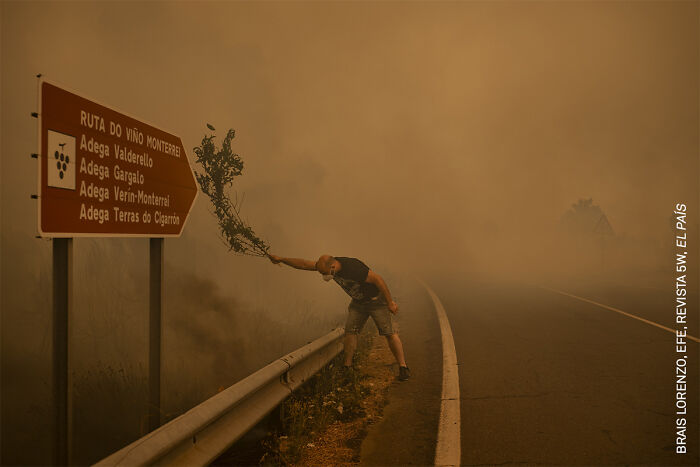 37 Powerful Photos From The 2026 World Press Photo Contest That Capture Our World Today