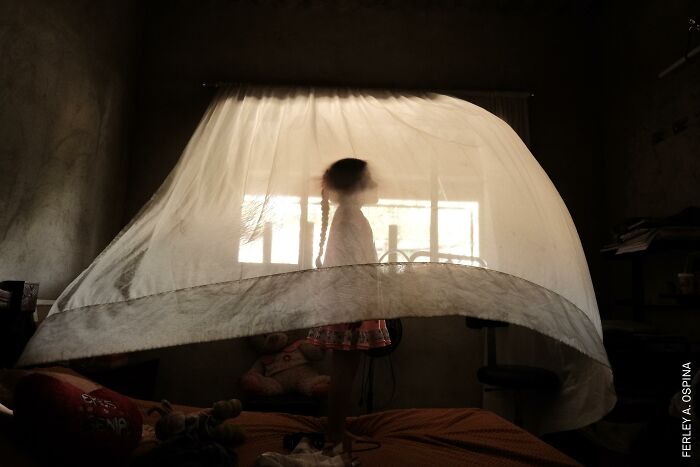 37 Powerful Photos From The 2026 World Press Photo Contest That Capture Our World Today