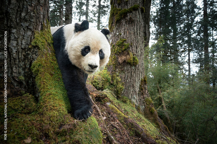 37 Powerful Photos From The 2026 World Press Photo Contest That Capture Our World Today