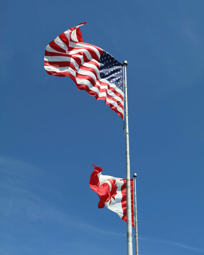 New Law Providing Canadian Citizenship For As Little As $55 Divides The Internet