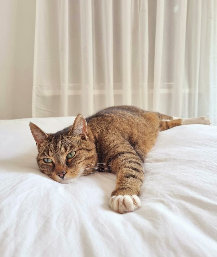 &ldquo;They Thought I Was Crazy&rdquo;: 77 Creepy Incidents That Made People Believe In The Paranormal