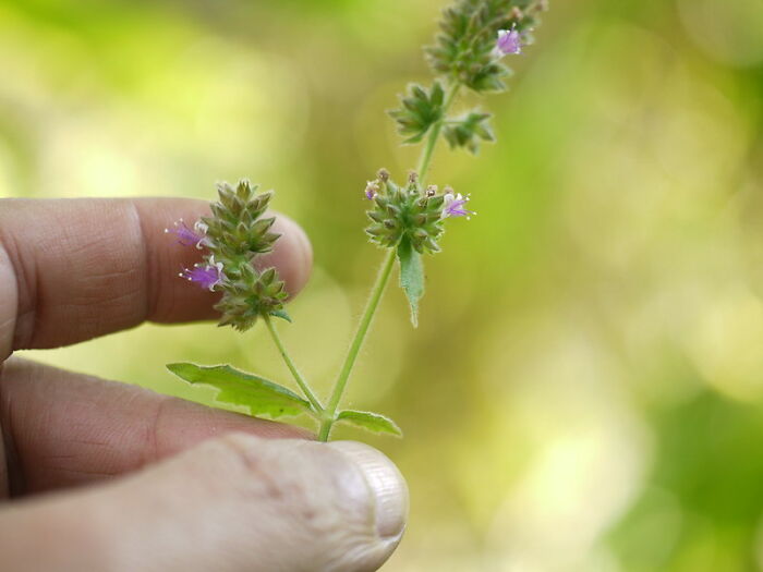 &ldquo;They Thought I Was Crazy&rdquo;: 77 Creepy Incidents That Made People Believe In The Paranormal