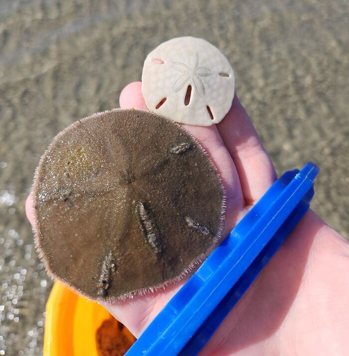 48 Side-By-Side Comparisons That Put The World Into Perspective (New Pics)