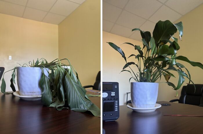 48 Side-By-Side Comparisons That Put The World Into Perspective (New Pics)