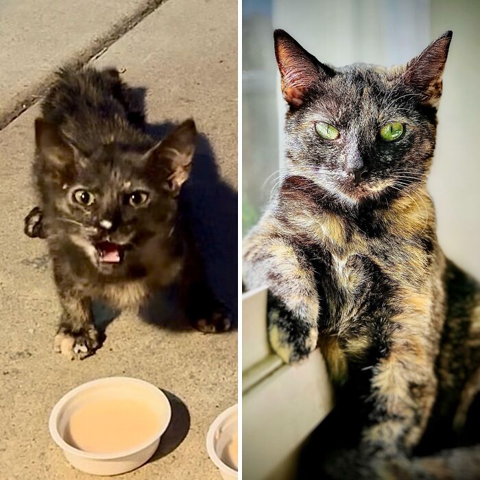 48 Side-By-Side Comparisons That Put The World Into Perspective (New Pics)