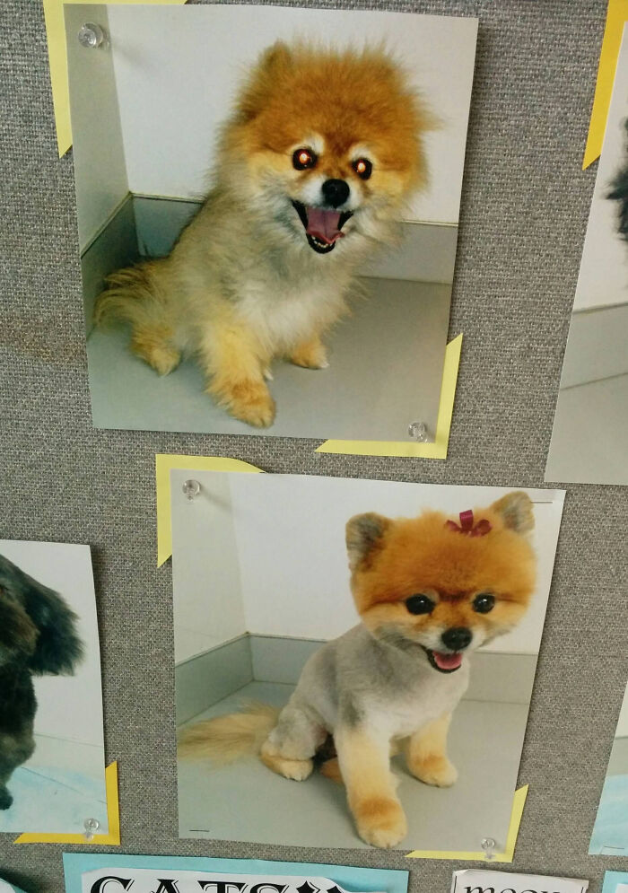 48 Side-By-Side Comparisons That Put The World Into Perspective (New Pics)