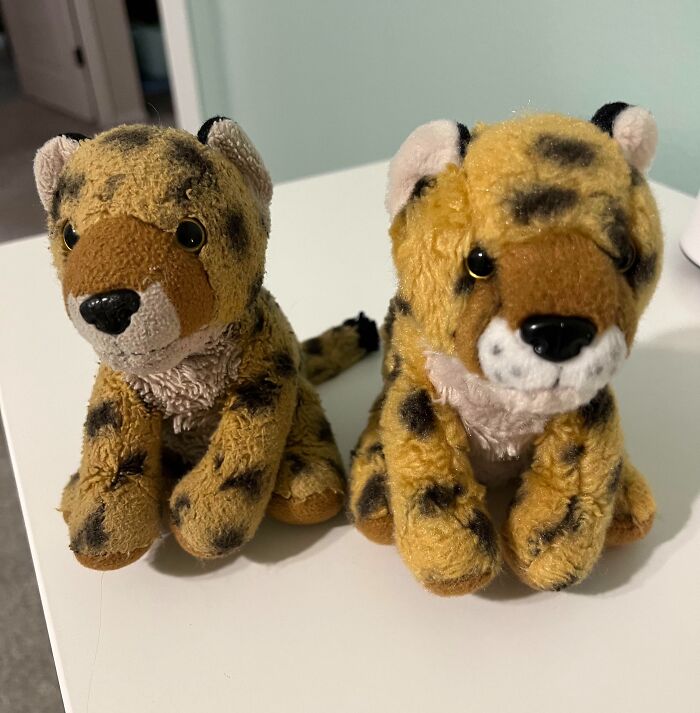 48 Side-By-Side Comparisons That Put The World Into Perspective (New Pics)